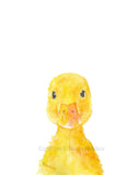 Farm Animal Art Print Set One - Set of 4 Animals - Horse Pig Duckling Calf