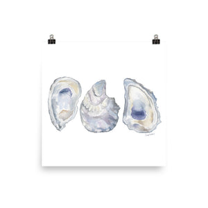 Oysters Seashell Watercolor Art Print
