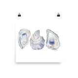 Oysters Seashell Watercolor Art Print
