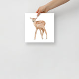 Elk Calf Watercolor Print