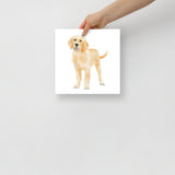 Golden Retriever Puppy  Watercolor 2 Fine Art Print