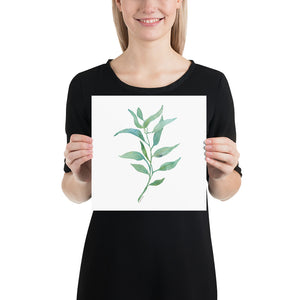 Eucalyptus 2 Branch Watercolor