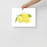 Lemons Watercolor Art Print