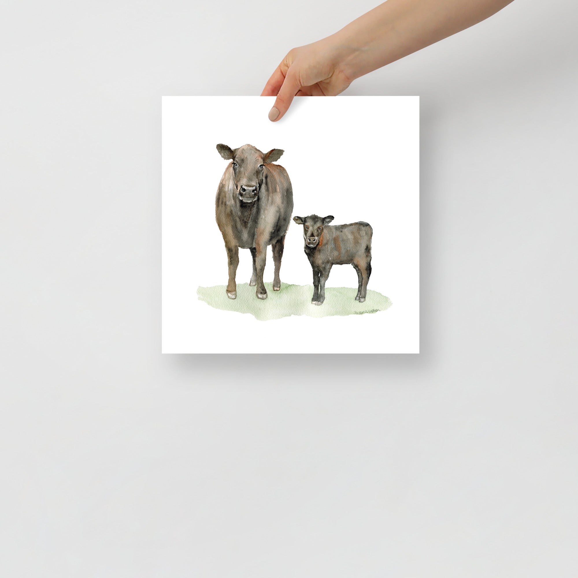 Angus Cow and Calf Watercolor – Susan Windsor