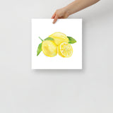 Lemons Watercolor Art Print