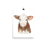 Hereford Cattle Calf Watercolor Giclee Print