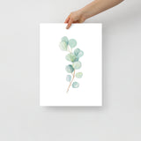 Eucalyptus Watercolor Art Print