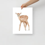 Elk Calf Watercolor Print