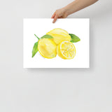 Lemons Watercolor Art Print