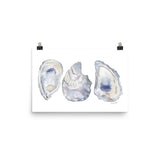 Oysters Seashell Watercolor Art Print