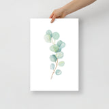 Eucalyptus Watercolor Art Print