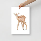 Elk Calf Watercolor Print