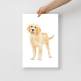 Golden Retriever Puppy  Watercolor 2 Fine Art Print