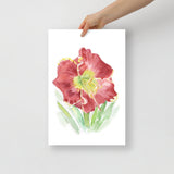 Red Daylily Watercolor Floral Poster