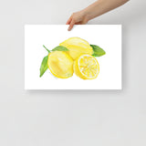 Lemons Watercolor Art Print