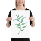 Eucalyptus 2 Branch Watercolor