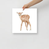 Elk Calf Watercolor Print