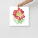 Red Daylily Watercolor Floral Poster