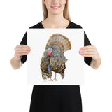 Wild Turkey Watercolor Art Print