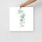 Eucalyptus Watercolor Art Print