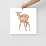 Elk Calf Watercolor Print