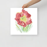 Red Daylily Watercolor Floral Poster