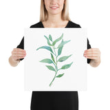 Eucalyptus 2 Branch Watercolor