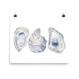 Oysters Seashell Watercolor Art Print