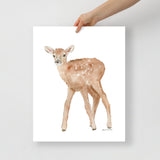 Elk Calf Watercolor Print