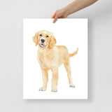 Golden Retriever Puppy  Watercolor 2 Fine Art Print