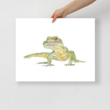 Baby Alligator Watercolor Poster