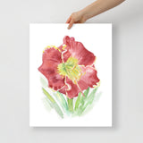 Red Daylily Watercolor Floral Poster