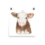 Hereford Cattle Calf Watercolor Giclee Print
