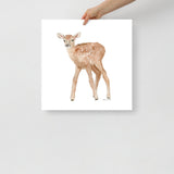 Elk Calf Watercolor Print