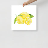 Lemons Watercolor Art Print