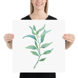Eucalyptus 2 Branch Watercolor