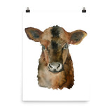 Angus Cattle Calf Watercolor