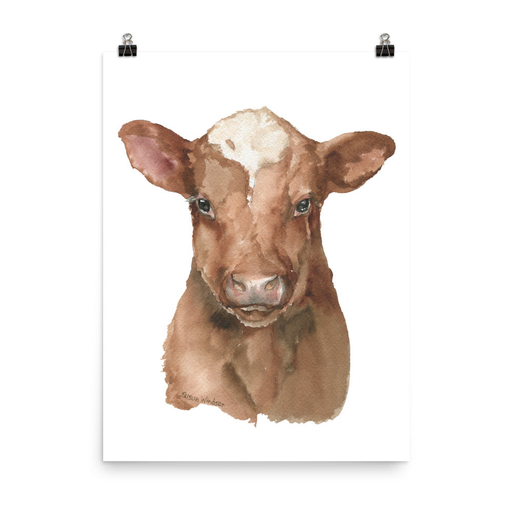 Shorthorn Cow Calf Watercolor Painting – Susan Windsor