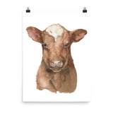Shorthorn Cow Calf Watercolor Painting