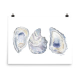 Oysters Seashell Watercolor Art Print