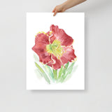 Red Daylily Watercolor Floral Poster