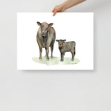 Angus Cow and Calf Watercolor
