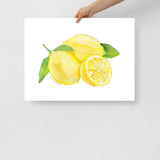 Lemons Watercolor Art Print