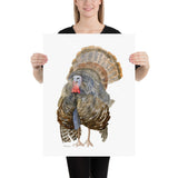 Wild Turkey Watercolor Art Print