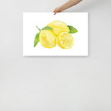 Lemons Watercolor Art Print