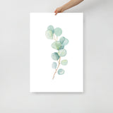 Eucalyptus Watercolor Art Print