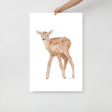 Elk Calf Watercolor Print