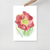 Red Daylily Watercolor Floral Poster