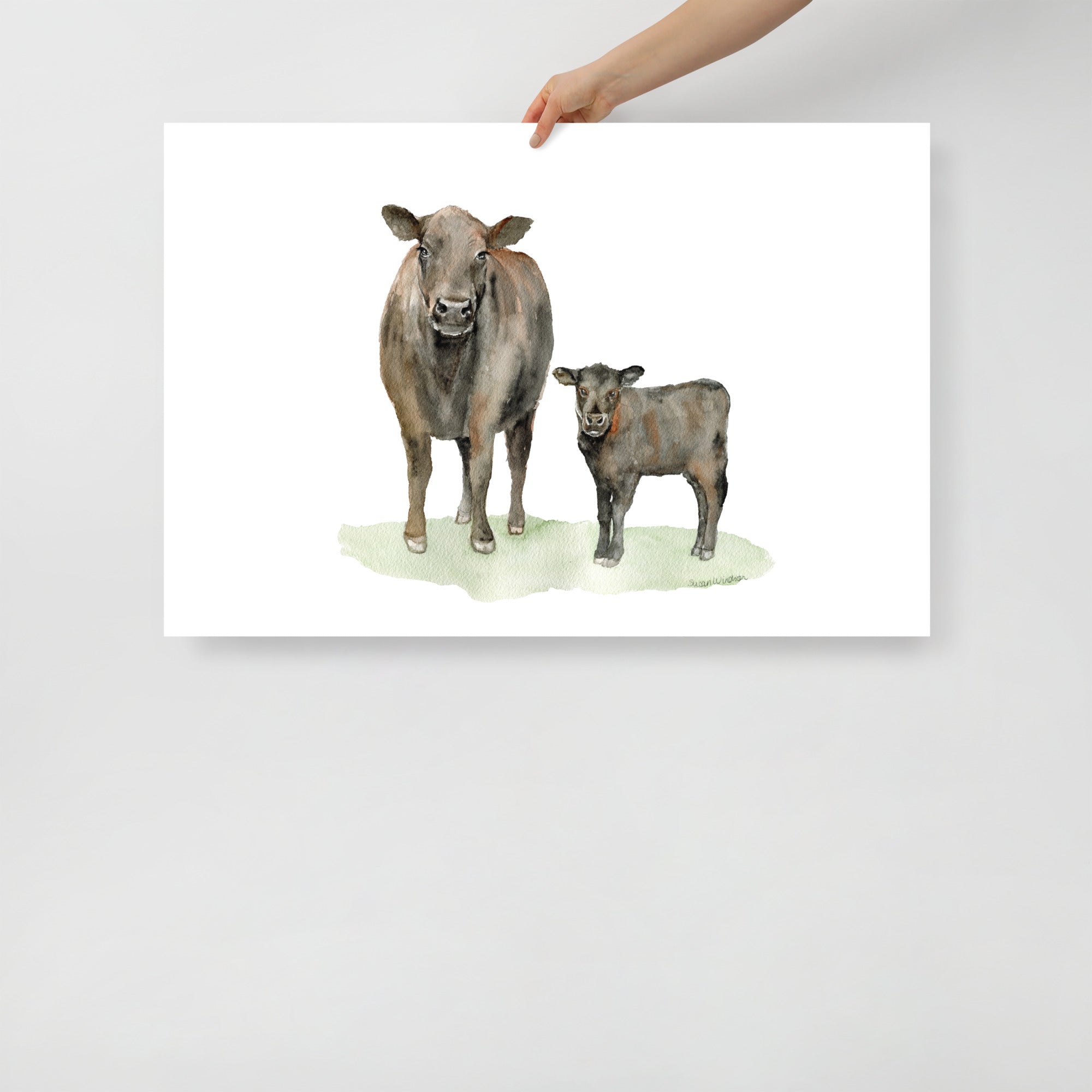 水彩壁絵 Watercolor *The Tender Calf Calf* Angus Cow and Calf Watercolor – Susan Windsor