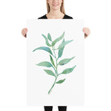 Eucalyptus 2 Branch Watercolor